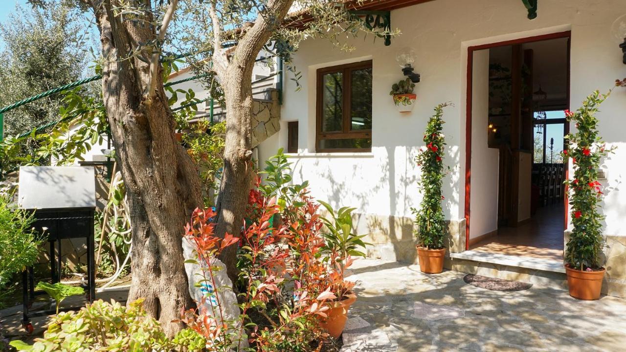 Amore Rentals - Casa Tatano Marciano Extérieur photo
